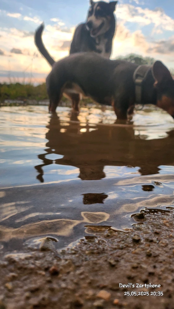 Bild hochgeladen von Devil