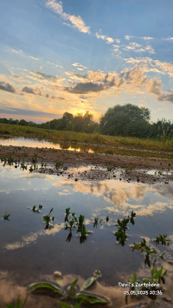 Bild hochgeladen von Devil