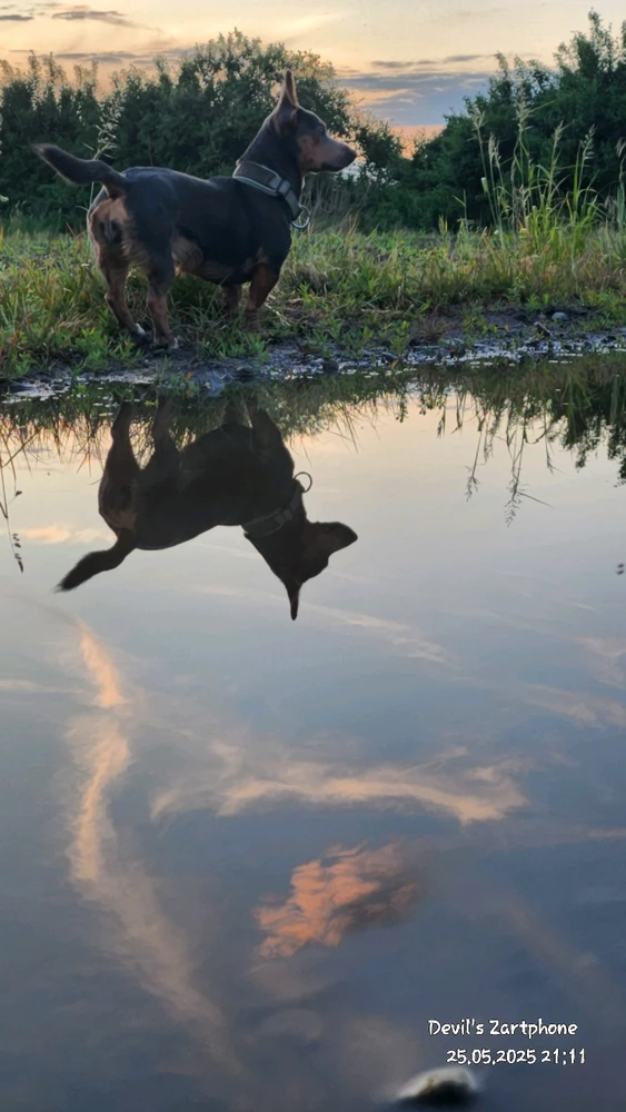 Bild hochgeladen von Devil