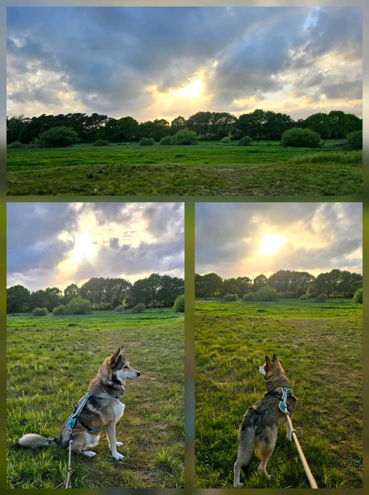 GIF hochgeladen von Anne (aka KuschelBrrrr- zeig mal etwas Wärme!!)