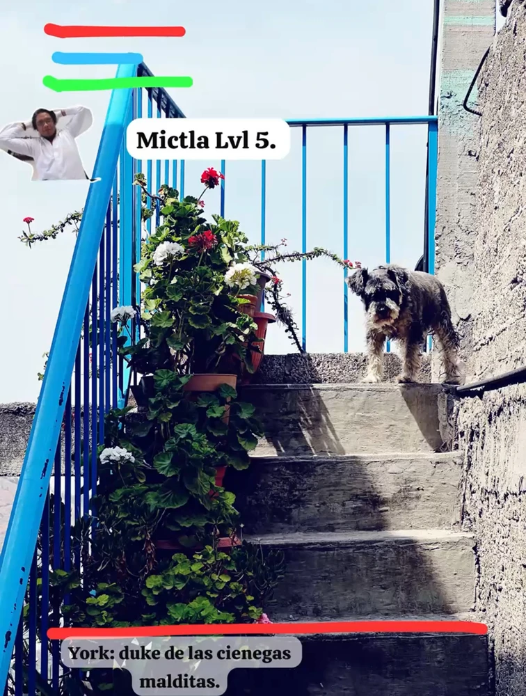 GIF subido por Irving