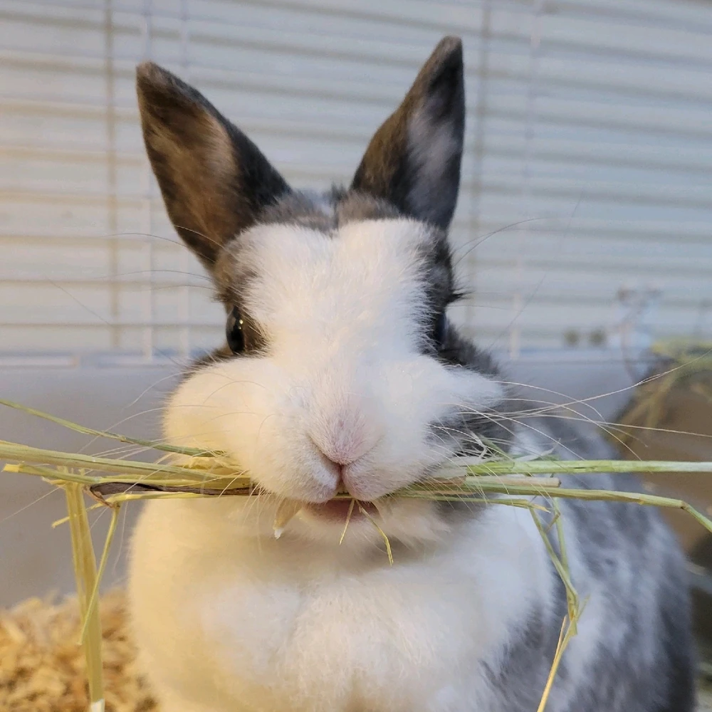 GIF uploaded by Olivia