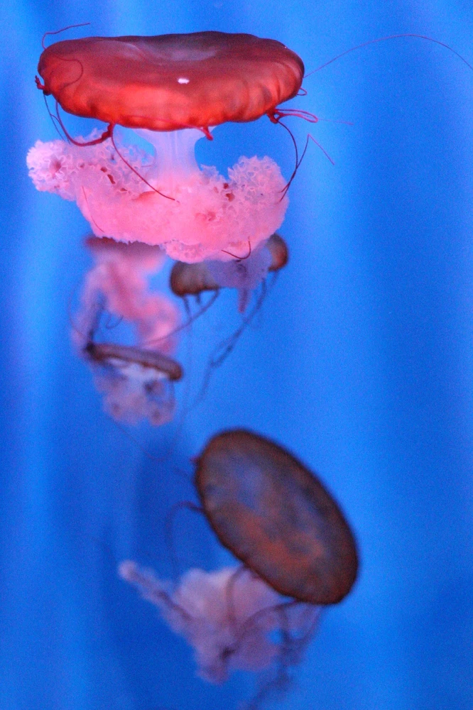 GIF uploaded by धीरज(Dhiraj)