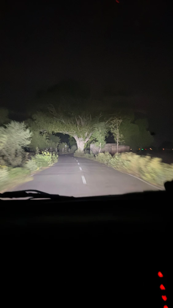GIF gi-upload ni Vivian