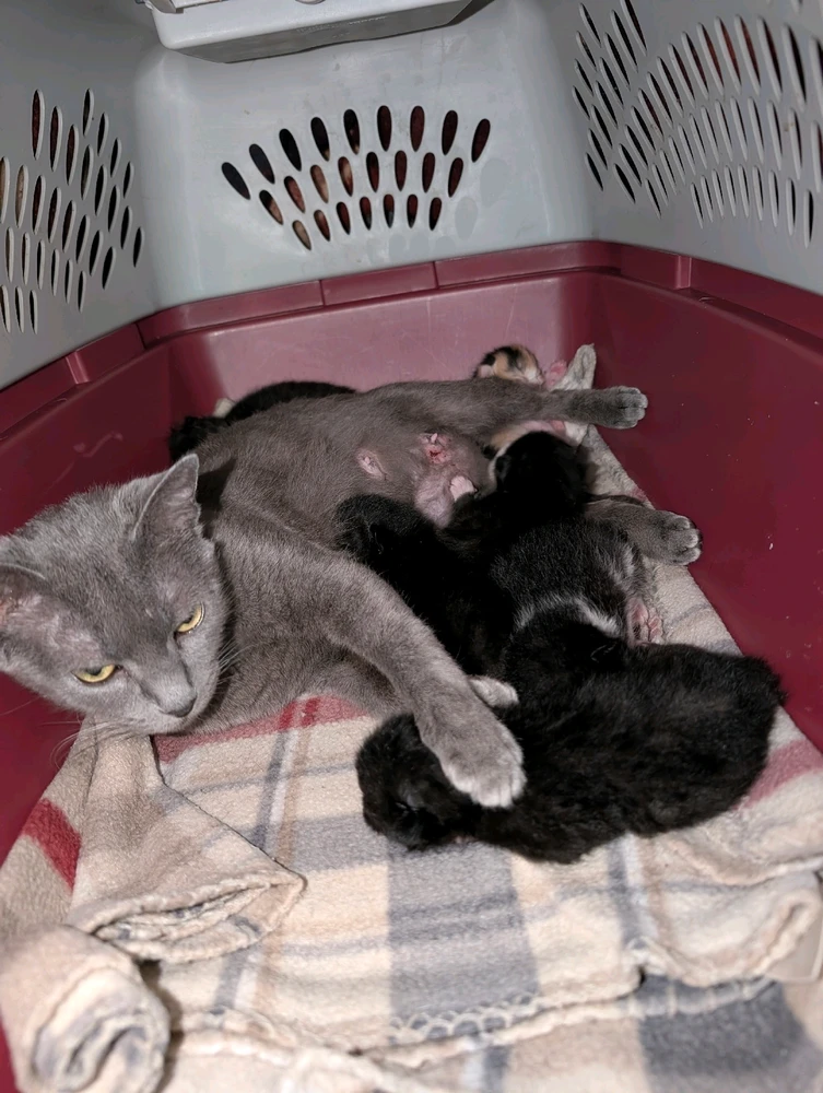 GIF uploaded by Bobby