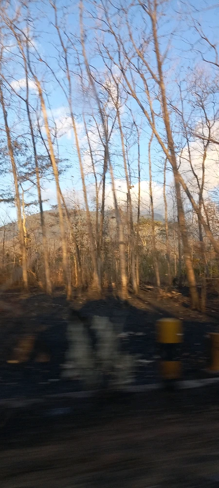 GIF diunggah oleh Lakshmi Ariyiani