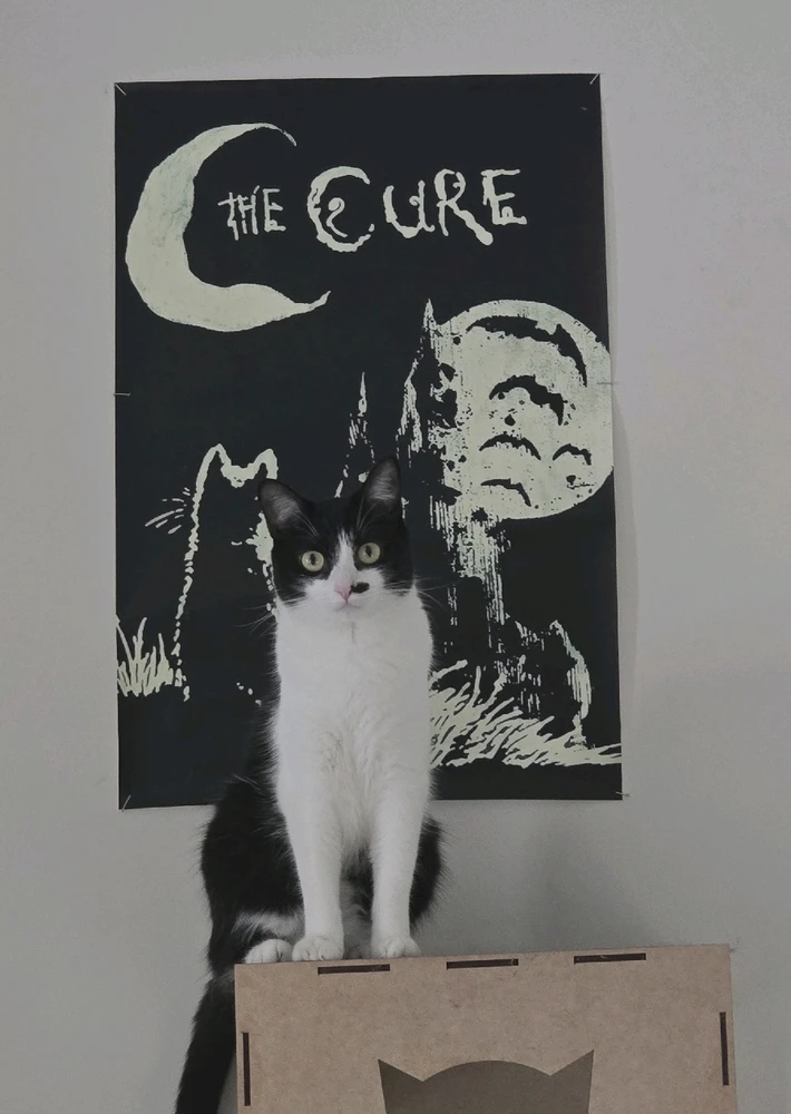 GIF enviado por Gian