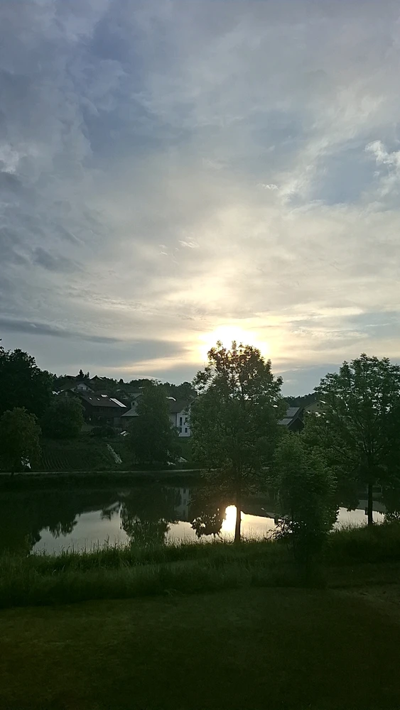 GIF hochgeladen von Theresa