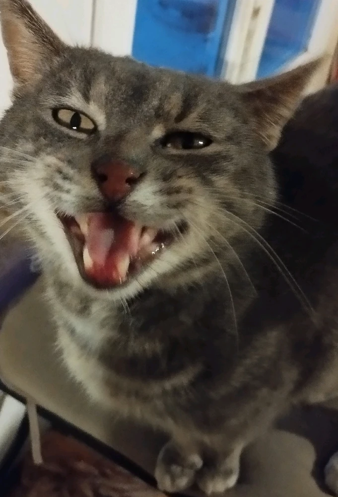 GIF ajouté par Alexi