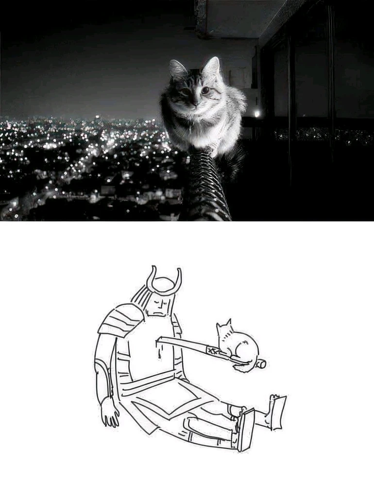 GIF hochgeladen von Doris