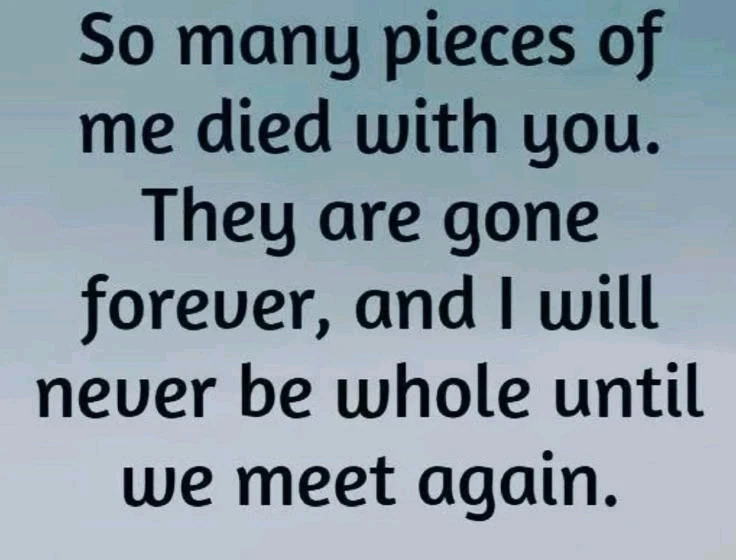 GIF uploaded by Jamie