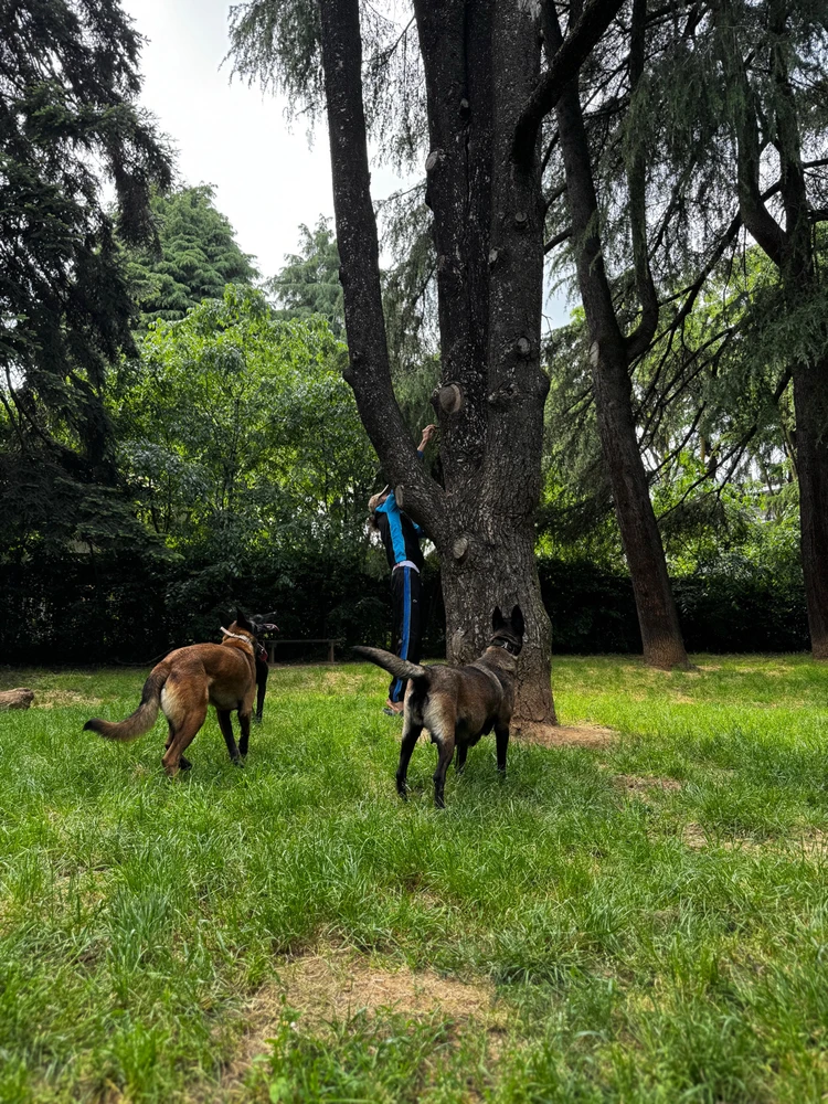 Immagine caricata da Rachid