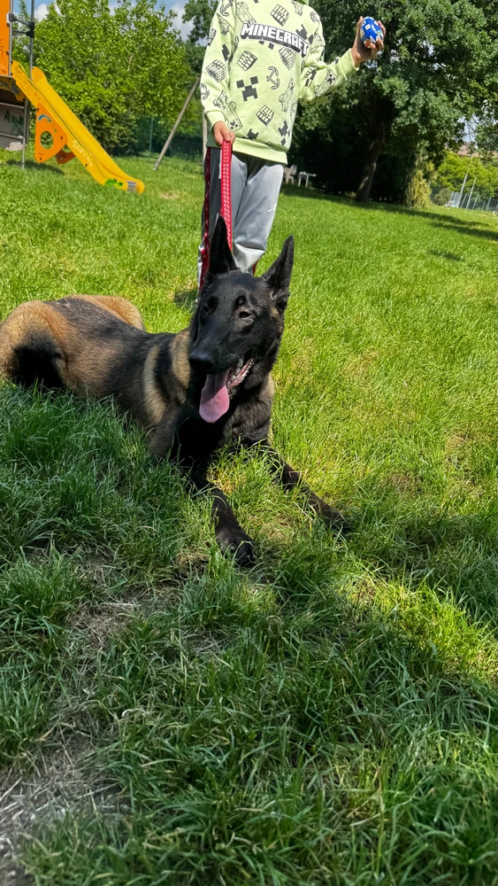 Immagine caricata da Rachid