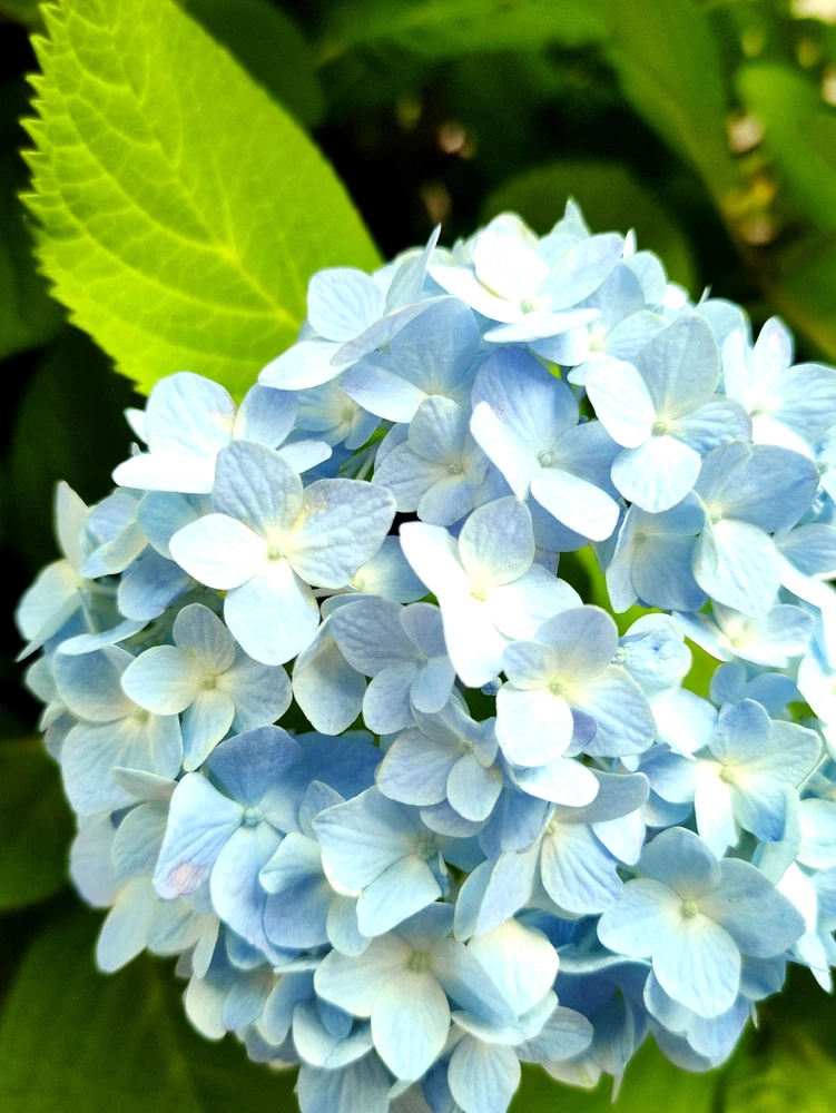 Kanaがアップロードした画像