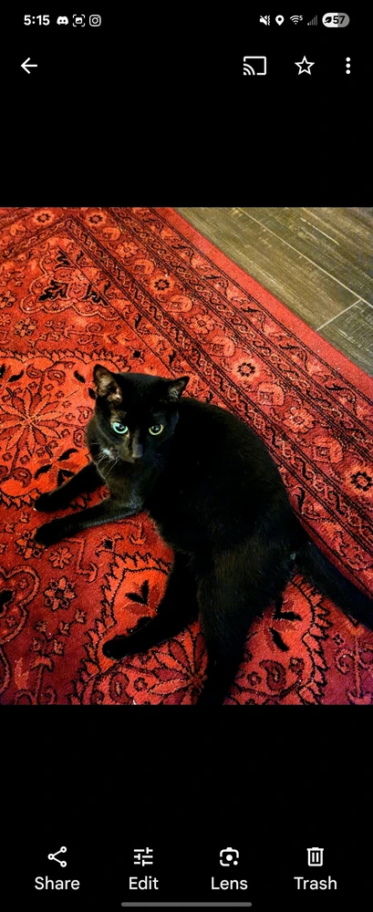 GIF uploaded by Andrew