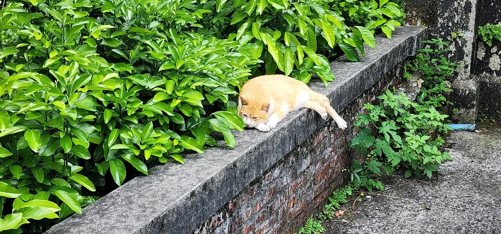 不是金融業就是詐騙好嗎? 上傳的 GIF