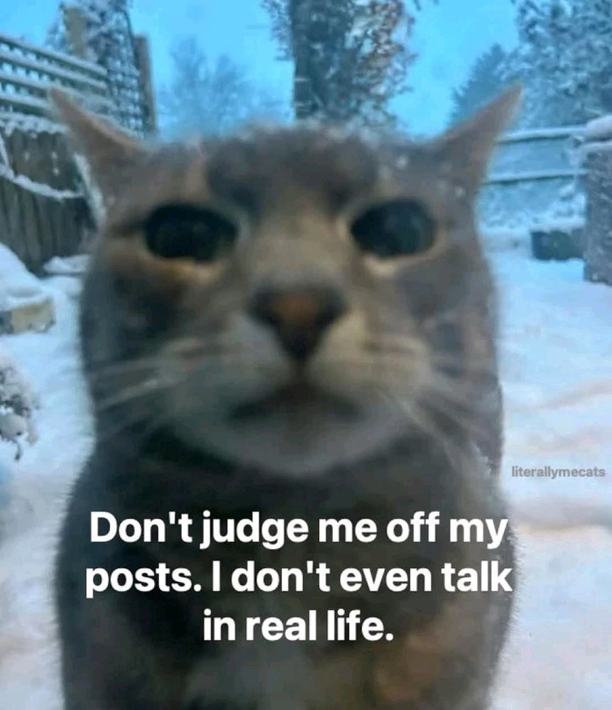 GIF hochgeladen von Ezra