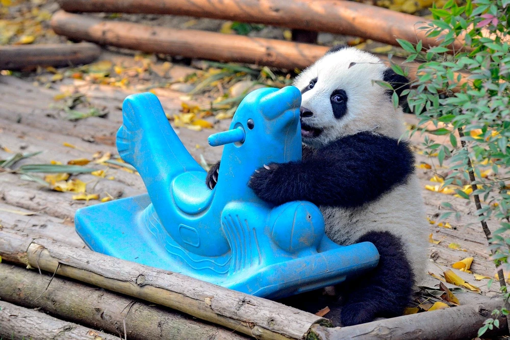 GIF uploaded by Ariana