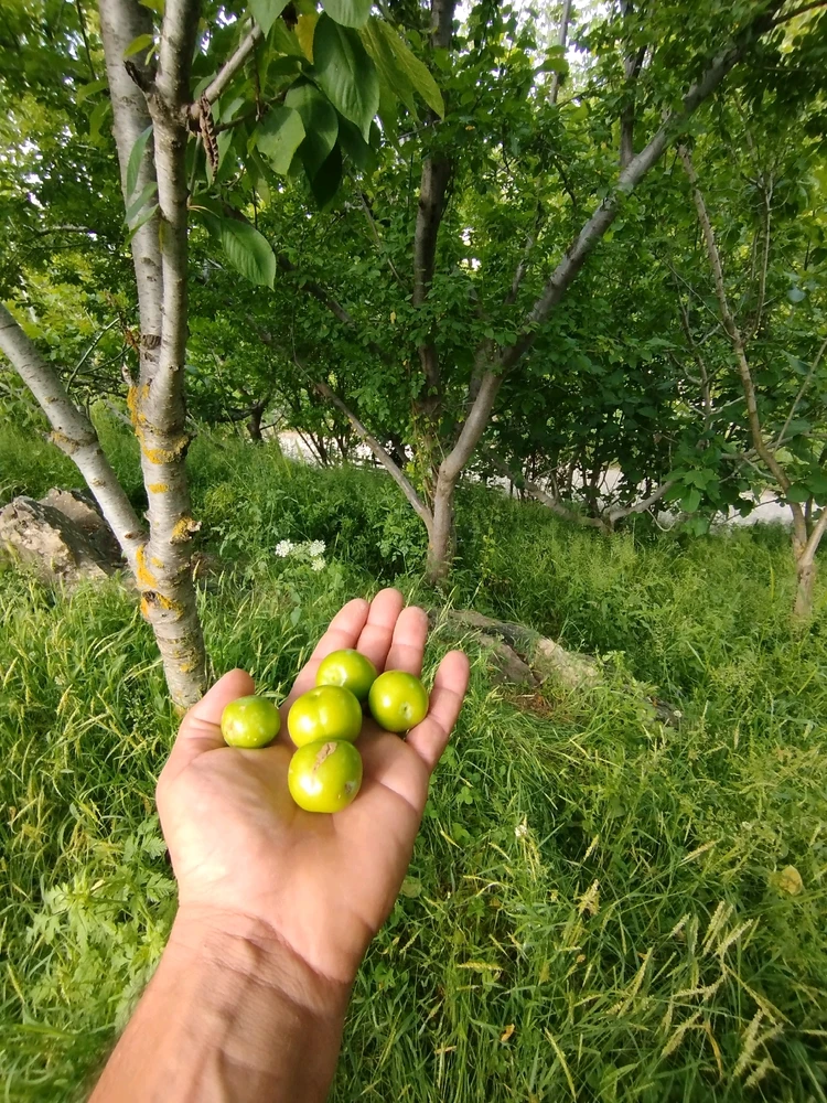 Oğuzhan tarafından yüklenen GIF
