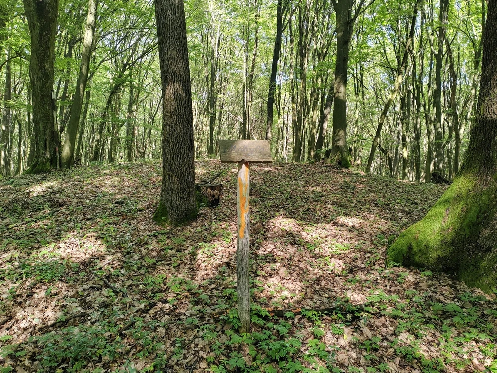 Fotku nahral/-a Michal