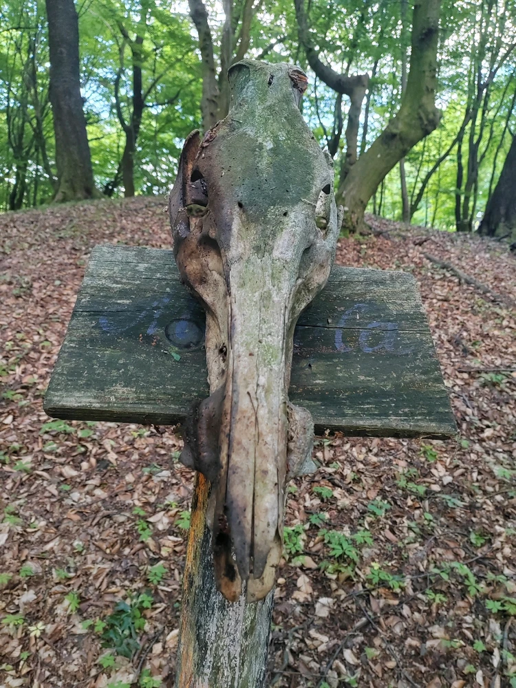 Fotku nahral/-a Michal