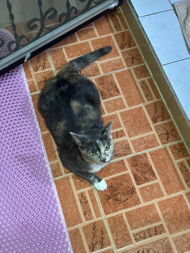 GIF uploaded by Pat♡