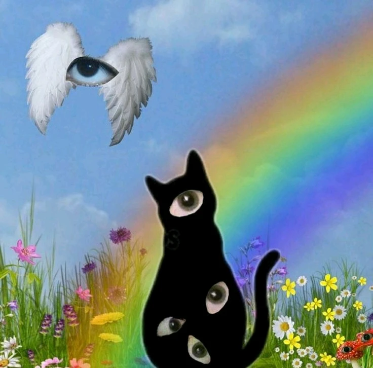 Imagem enviada por Gabriel