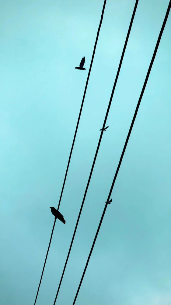 Narendra ने अपलोड केलेला GIF