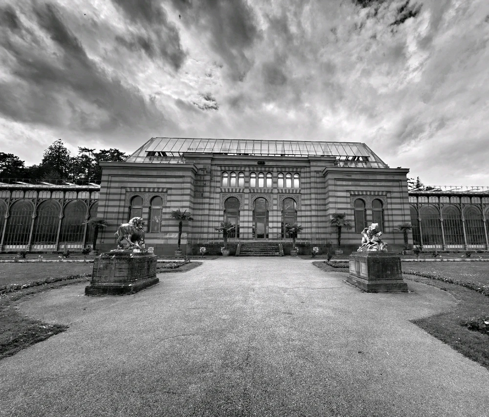 Image uploaded by Boriss