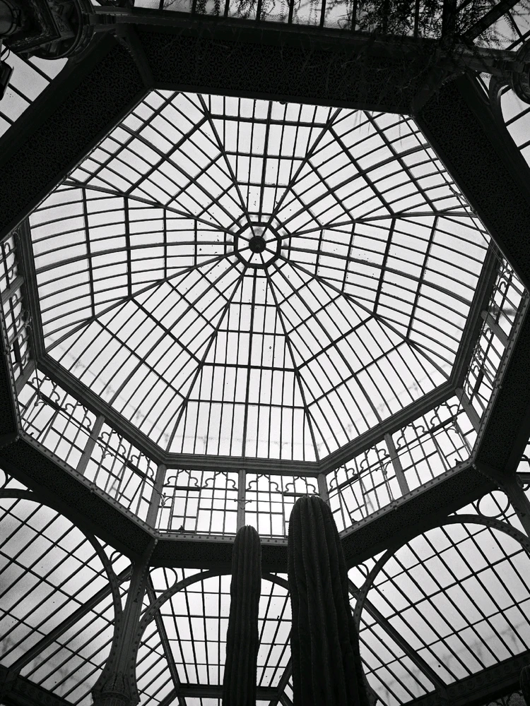 Image uploaded by Boriss