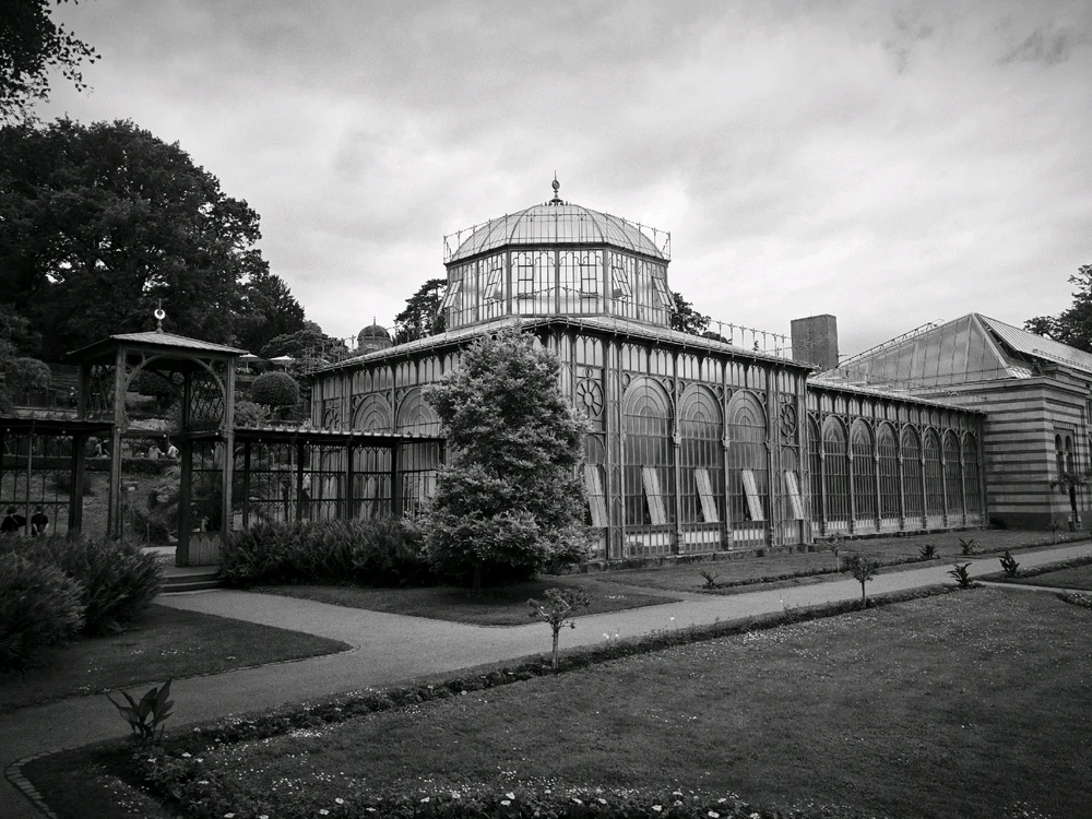 Image uploaded by Boriss