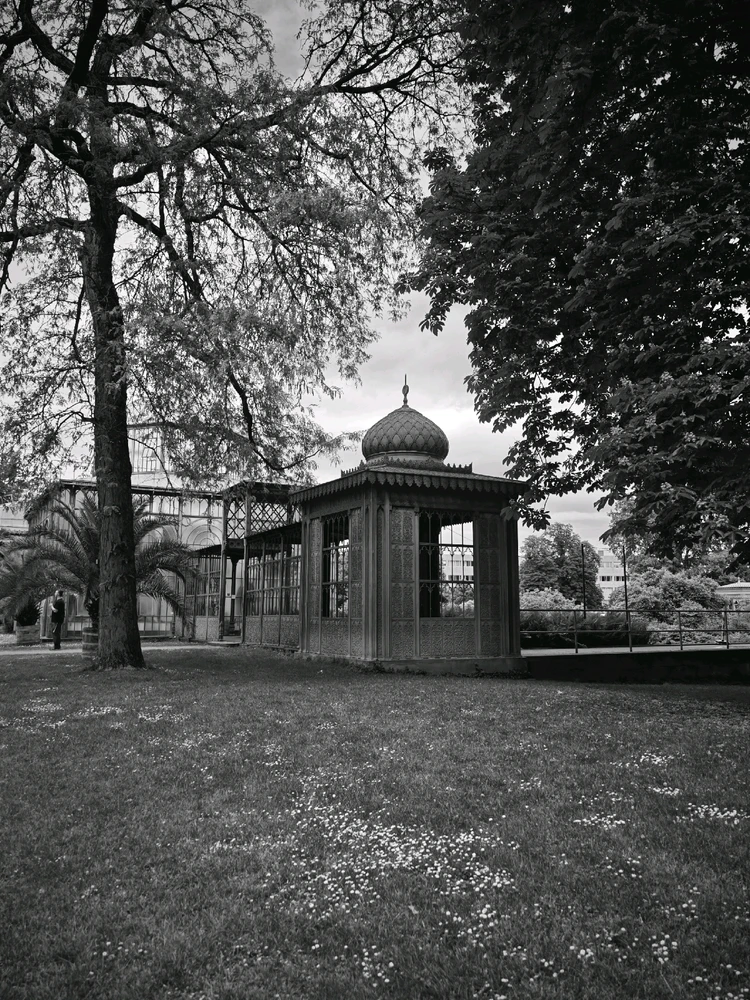 Image uploaded by Boriss