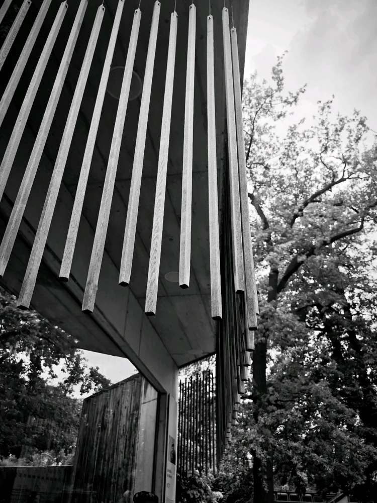 Image uploaded by Boriss