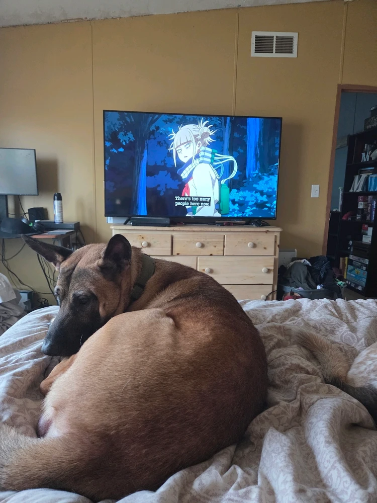 GIF uploaded by Emmy