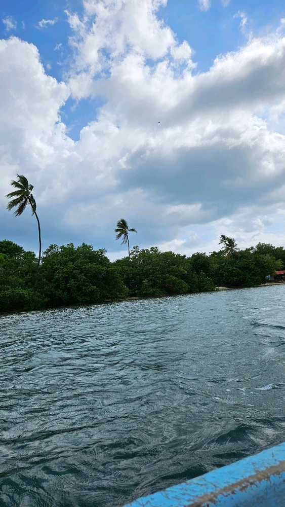 Pamela님이 올린 사진