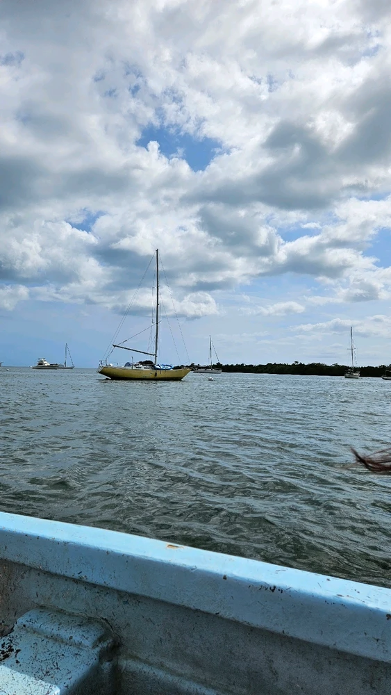 Pamela님이 올린 사진