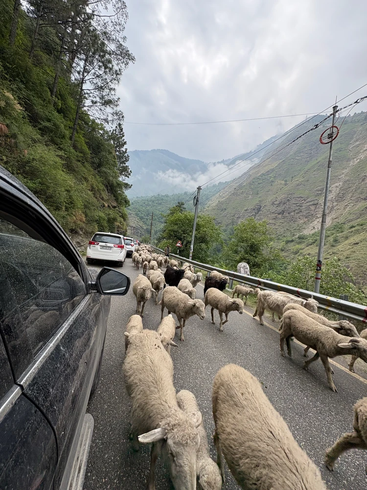 GIF uploaded by Shivam Chaturvedi