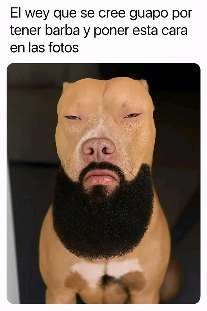 GIF subido por Eduardo cruz