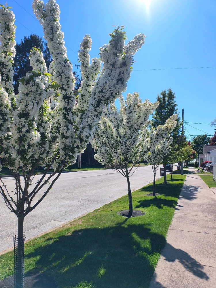 Image uploaded by Desiree