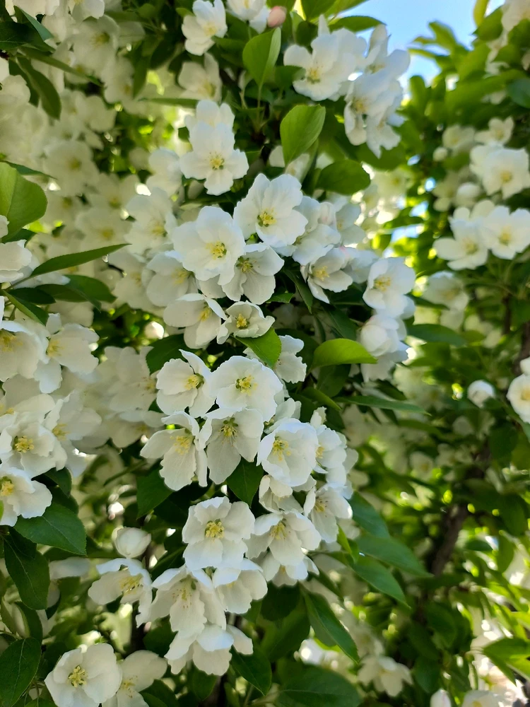 Image uploaded by Desiree