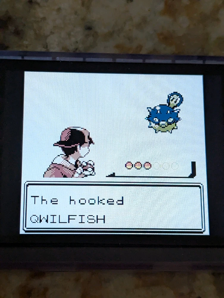 Image uploaded by Matt