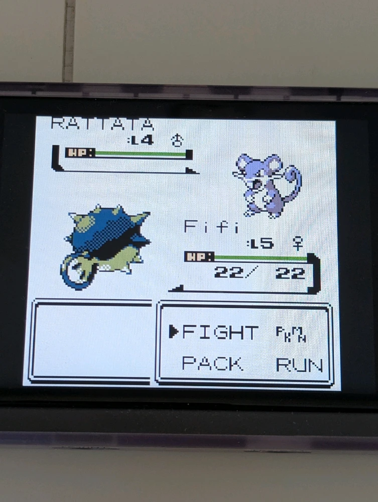 Image uploaded by Matt