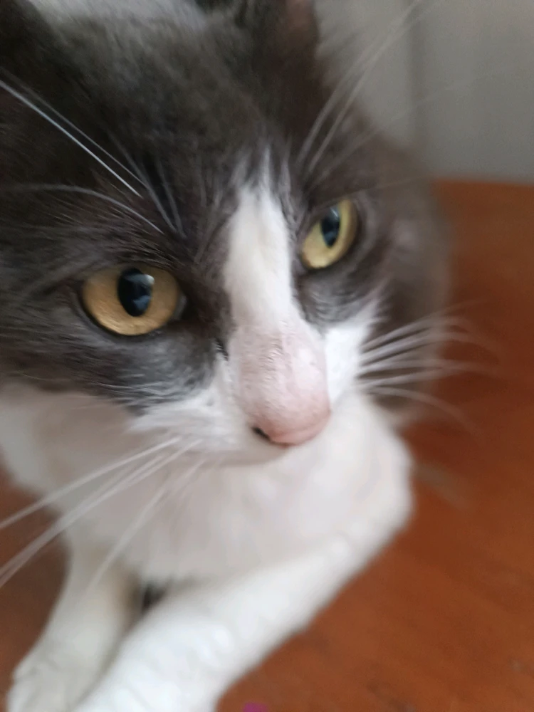 Imagen subida por Alejandra