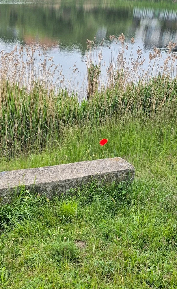 GIF uploaded by Zaphyris