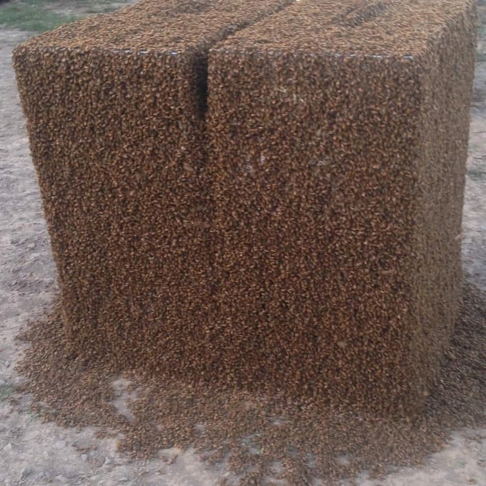 GIF uploaded by Kumara Kaveesha