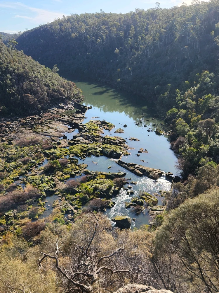 Image uploaded by Brad