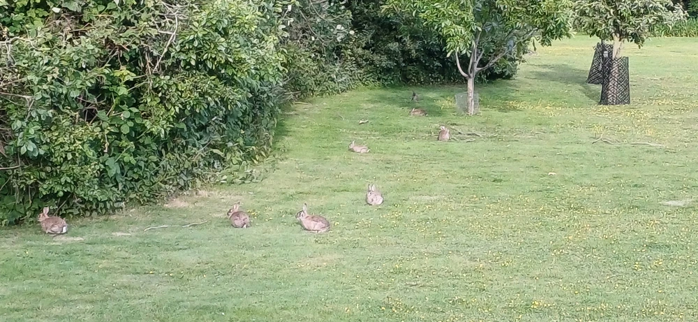 GIF uploadet af Helge