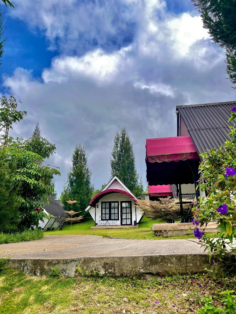 Gambar diunggah oleh Cristin Melani Ambarita