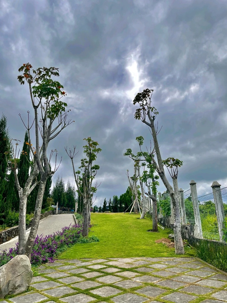 Gambar diunggah oleh Cristin Melani Ambarita