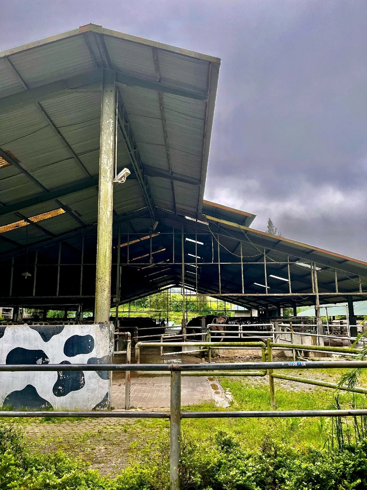 Gambar diunggah oleh Cristin Melani Ambarita